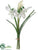 Snowdrop Bundle - White - Pack of 24