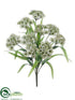 Silk Plants Direct Queen Anne's Lace Bush - White - Pack of 12
