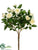 Mini Rose Bush - Cream - Pack of 36