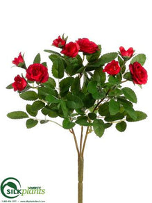 Mini Rose Bush - Red - Pack of 36