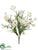 Ranunculus Bush - Cream - Pack of 12