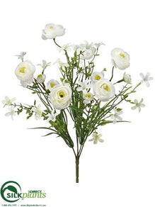 Ranunculus Bush - Cream - Pack of 12