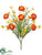 Ranunculus Bush - Orange - Pack of 12