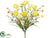 Ranunculus Bush - Yellow - Pack of 12