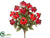 Rudbeckia Bush - Burgundy Red - Pack of 12