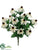 Rudbeckia Bush - Cream - Pack of 12