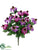 Rudbeckia Bush - Purple Orchid - Pack of 12