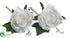 Silk Plants Direct Rose Boutonniere - Cream - Pack of 24
