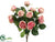 Rose Bush - Pink Two Tone - Pack of 12