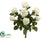 Confetti Rose Bush - Cream - Pack of 6