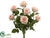 Confetti Rose Bush - Peach Cream - Pack of 6