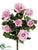 Confetti Rose Bush - Pink Two Tone - Pack of 6
