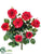 Confetti Rose Bush - Red - Pack of 6