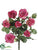Confetti Rose Bush - Rose Two Tone - Pack of 6