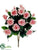 Rose Bush - Pink Cream - Pack of 12