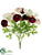 Ranunculus Bush - Burgundy Pink - Pack of 12