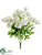 Ranunculus Bush - Cream - Pack of 12