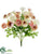 Ranunculus Bush - Pink Ivory - Pack of 12