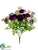 Ranunculus Bush - Violet Orchid - Pack of 12