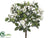 Silk Plants Direct Rose Bush - White - Pack of 36