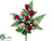 Rose Bud Bush - Rubrum Cream - Pack of 12