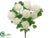 Ranunculus Bush - White - Pack of 6