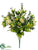 Ranunculus Bush - Green Lime - Pack of 12