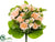 Rose Bush - Peach - Pack of 6