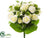 Rose Bush - White - Pack of 6