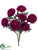 Ranunculus Bush - Boysenberry - Pack of 6