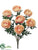 Ranunculus Bush - Peach Pink - Pack of 6