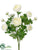 Ranunculus Bush - Cream - Pack of 6