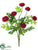 Ranunculus Bush - Red - Pack of 12