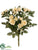 Rose Bush - Beige - Pack of 36