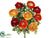 Ranunculus Bush - Orange Two Tone - Pack of 12