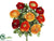 Ranunculus Bush - Orange Two Tone - Pack of 12