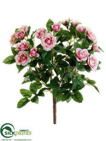 Rose Bush - Pink - Pack of 24