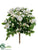 Rose Bush - White - Pack of 24