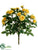 Rose Bush - Yellow - Pack of 24