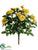 Rose Bush - Yellow - Pack of 24