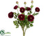 Silk Plants Direct Ranunculus Bush - Burgundy Two Tone - Pack of 6