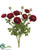Ranunculus Bush - Burgundy - Pack of 6