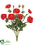 Ranunculus Bush - Flame - Pack of 6