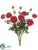 Ranunculus Bush - Rose - Pack of 6