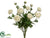 Ranunculus Bush - White - Pack of 6