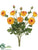 Ranunculus Bush - Yellow Burgundy - Pack of 6