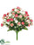 Rose Bush - Pink Cream - Pack of 24