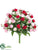 Rose Bush - Pink Red - Pack of 24