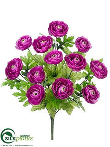 Ranunculus Bush - Orchid - Pack of 12