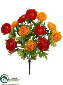 Ranunculus Bush - Orange Yellow - Pack of 12